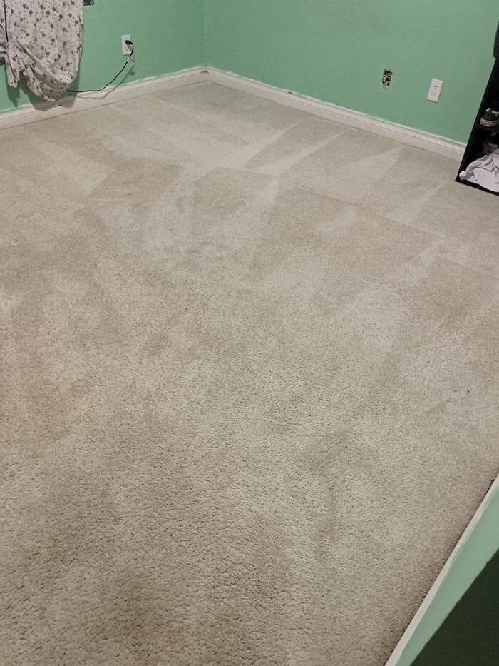  Profile Photos of Silver Olas Carpet Tile Flood Cleaning 101 Copperwood Way Suite M - Photo 31 of 33