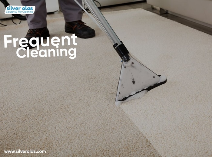  Profile Photos of Silver Olas Carpet Tile Flood Cleaning 101 Copperwood Way Suite M - Photo 30 of 33