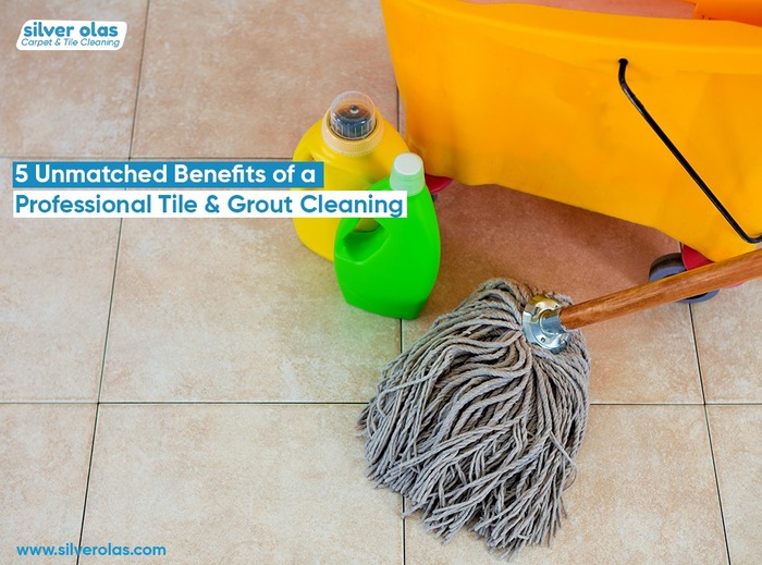  Profile Photos of Silver Olas Carpet Tile Flood Cleaning 101 Copperwood Way Suite M - Photo 26 of 33