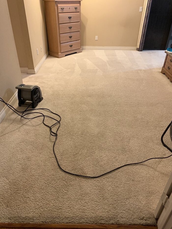  Profile Photos of Silver Olas Carpet Tile Flood Cleaning 101 Copperwood Way Suite M - Photo 4 of 33