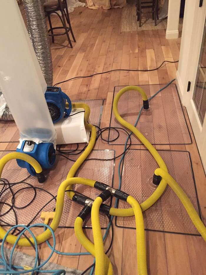  Profile Photos of Silver Olas Carpet Tile Flood Cleaning 101 Copperwood Way Suite M - Photo 13 of 33