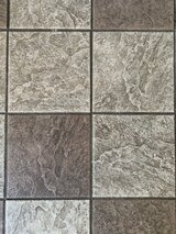  Silver Olas Carpet Tile Flood Cleaning 101 Copperwood Way Suite M 