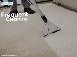  Silver Olas Carpet Tile Flood Cleaning 101 Copperwood Way Suite M 