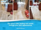  Silver Olas Carpet Tile Flood Cleaning 101 Copperwood Way Suite M 