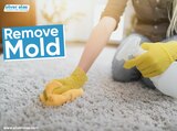 Silver Olas Carpet Tile Flood Cleaning, Oceanside