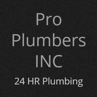  Profile Photos of Pro Plumber Inc 145 W 45th St - Photo 1 of 1