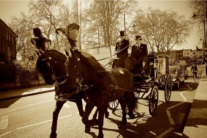  New Album of Auckland Funeral Services 335 Whitehills Road, RD 1 Silverdale - Photo 1 of 5