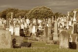  Auckland Funeral Services 335 Whitehills Road, RD 1 Silverdale 