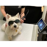 Arbor Pointe Veterinary Hospital, Canton