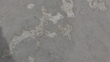  Profile Photos of A1 Epoxy Flooring Brisbane 12 Alexandra St - Photo 3 of 7