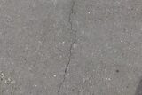  A1 Epoxy Flooring Brisbane 12 Alexandra St 