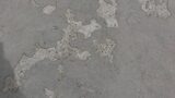  A1 Epoxy Flooring Brisbane 12 Alexandra St 