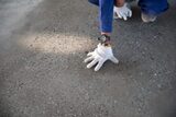  A1 Epoxy Flooring Brisbane 12 Alexandra St 