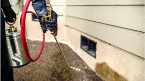  Profile Photos of Pest Control Canning Vale 248 Campbell Road - Photo 5 of 6