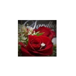  Profile Photos of Sandberg Jewelers 7096 Carpenter Road - Photo 3 of 4