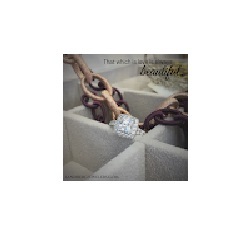  Profile Photos of Sandberg Jewelers 7096 Carpenter Road - Photo 4 of 4