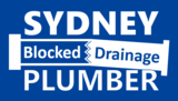 Sydney Blocked Drainage Plumber, Potts Point
