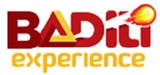  Badiliexperience N/A 