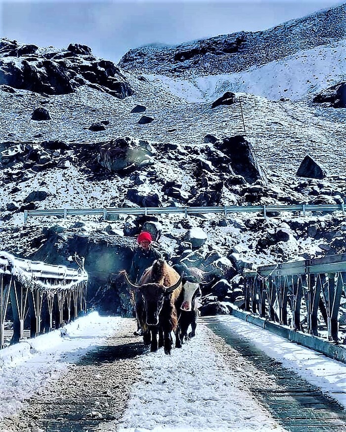  New Album of SILK ROUTE TOUR SIKKIM PACKAGE PREMIUM STAYS 54 Ho Chi Minh Sarani - Photo 2 of 5