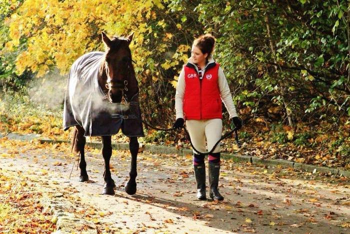  New Album of Horse Equipment | Robinsons Equestrian Unit 6,Lockett Road, South Lancs Industrial Estate, Ashton-In-Makerfield - Photo 1 of 1