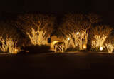 Waco Outdoor Lighting, Waco