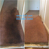 Louisville Carpet Cleaning & Flood Restoration, Louisville