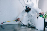  Pest Control Sydney 502/141 Elizabeth Street 