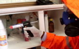 Pest Control Sydney, Sydney