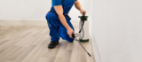 Pest Control Sydney, Sydney