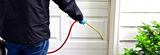 Pest Control Sydney, Sydney
