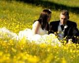 The Norfolk Wedding Photographer, Norwich