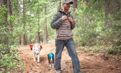  Profile Photos of Primal Needs Dog Training & Behavioral Solutions   - Photo 2 of 4