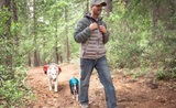 Primal Needs Dog Training & Behavioral Solutions, Sacramento