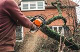 Columbia Tree Co. - Tree Service, Columbia