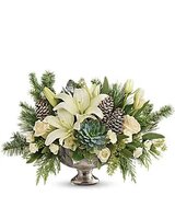 Reed's Florist Limited, Ajax