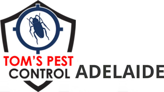  Profile Photos of Tom's Pest Control Adelaide Suite 4146, 3/55 Gawler Place - Photo 1 of 1