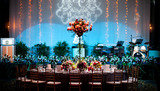 Sing See Soon Floral & Landscape Pte Ltd, Sing See Soon Floral & Landscape Pte Ltd, Singapore 828824