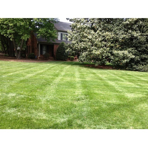  New Album of Performance Lawn & Landscape 3315 Tom Greene Rd - Photo 2 of 13
