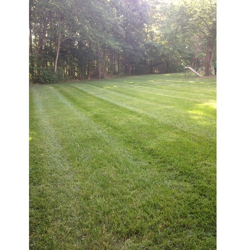  New Album of Performance Lawn & Landscape 3315 Tom Greene Rd - Photo 4 of 13