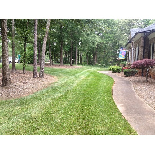  New Album of Performance Lawn & Landscape 3315 Tom Greene Rd - Photo 6 of 13