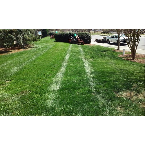  New Album of Performance Lawn & Landscape 3315 Tom Greene Rd - Photo 8 of 13