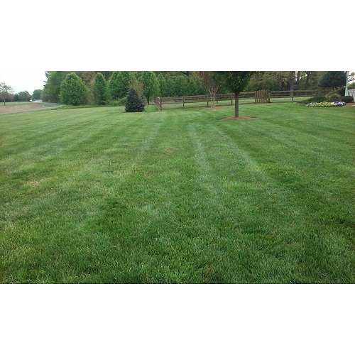  New Album of Performance Lawn & Landscape 3315 Tom Greene Rd - Photo 9 of 13