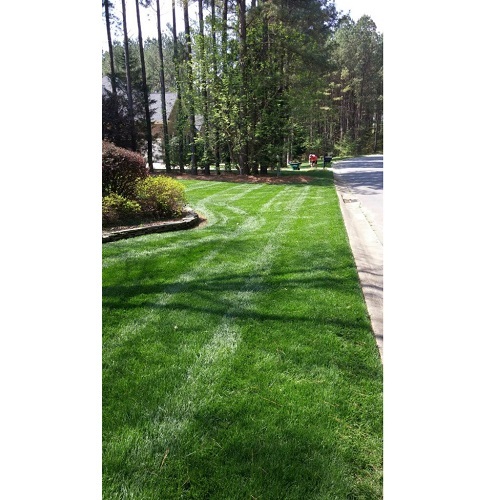  New Album of Performance Lawn & Landscape 3315 Tom Greene Rd - Photo 11 of 13