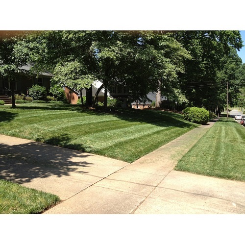  New Album of Performance Lawn & Landscape 3315 Tom Greene Rd - Photo 12 of 13
