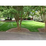  Performance Lawn & Landscape 3315 Tom Greene Rd 