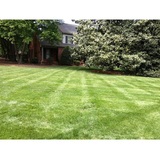  Performance Lawn & Landscape 3315 Tom Greene Rd 