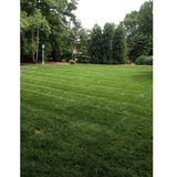  Performance Lawn & Landscape 3315 Tom Greene Rd 
