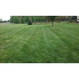  Performance Lawn & Landscape 3315 Tom Greene Rd 