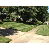  Performance Lawn & Landscape 3315 Tom Greene Rd 