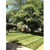  Performance Lawn & Landscape 3315 Tom Greene Rd 